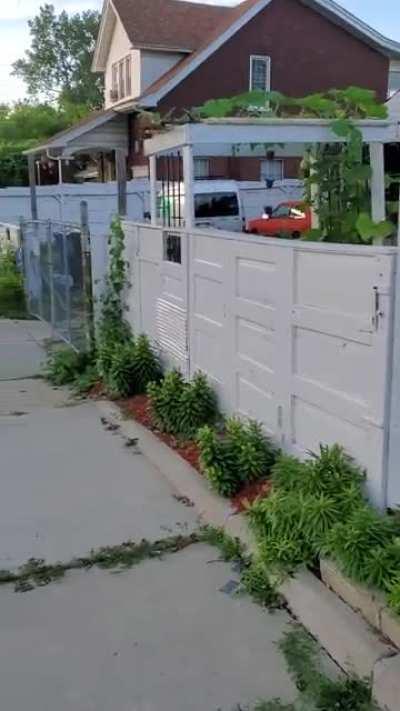 Very unique picket fence, in the Jefferson Chalmers neighborhood.