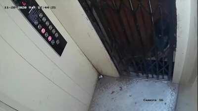 boy gets trapped between elevator and door