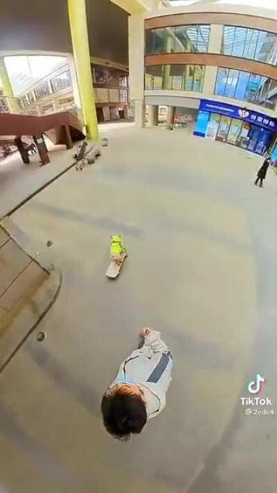 This Dog skateboarding