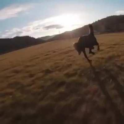 HMFT after I film this frightened horse