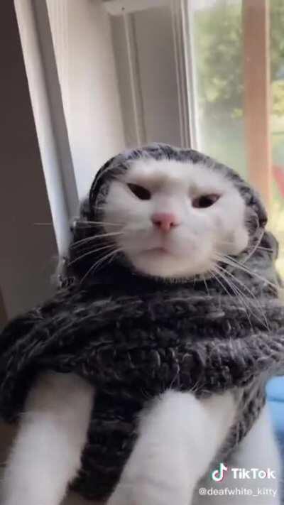 Babushkats