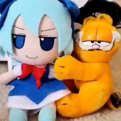 Cirno Fumo can change your life