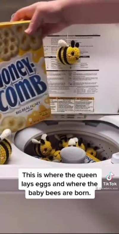 Bees in the washing machine