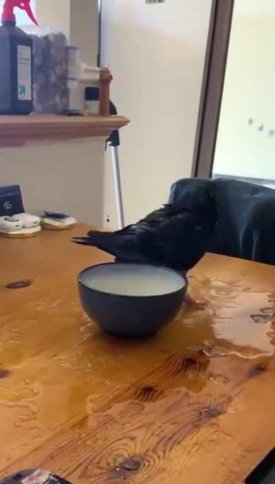 To take a quick drink