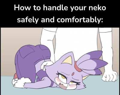 Cat handling tips