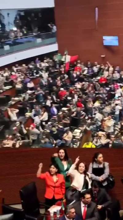 Protestors storm the Mexican Senate