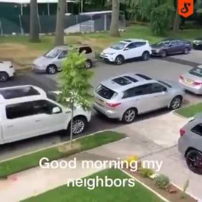 Karma for neighbours that cant park.