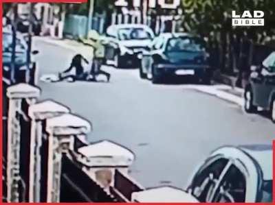 Stray dog saves a woman from a mugger