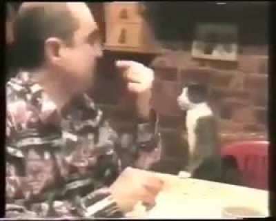 This cat realized meowing was useless. His owner is deaf so the cat taught himself how to communicate with paw language