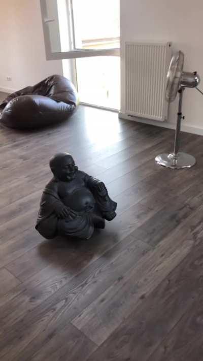 I bought happy buddha and put in on roomba