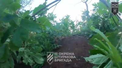 First-person footage provided by the Ukrainian 3rd Assault Brigade shows them storming a Russian position at dawn.