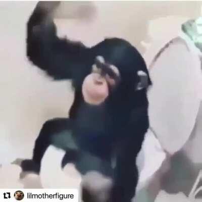 Monke in da bathroom (sound on)