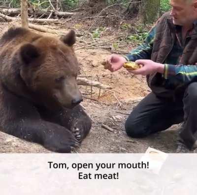 Bear refuses to eat McDonald’s Big Mac