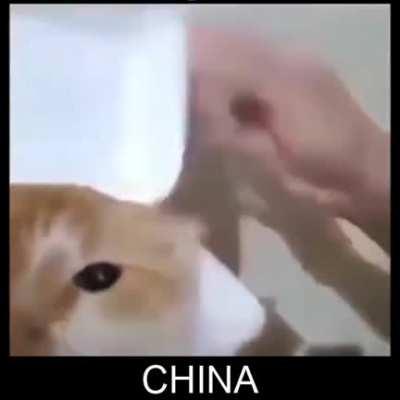 🇨🇳