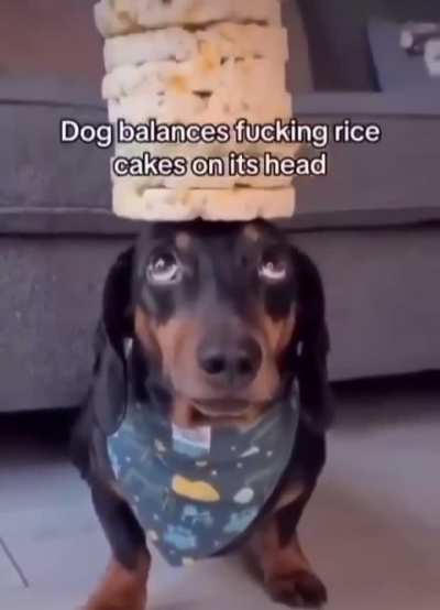 Balance Wunk