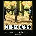 WTF(frick) Monke no supposed too!! 🤬🤬🤬