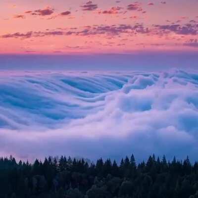 🔥 Time lapse of a cloud rift in Mount Tamalpais National Park 🔥