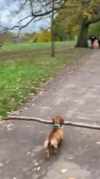 a real stick man 