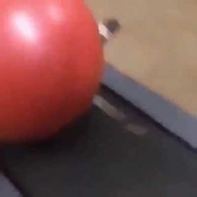 Treadmill ball