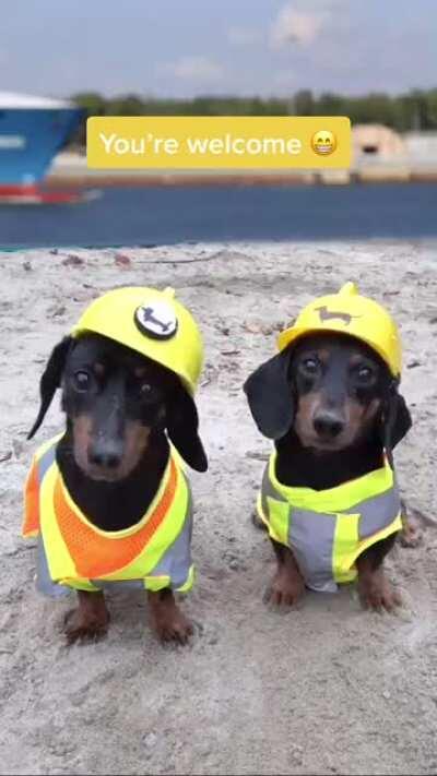 Hire us for your digging needs