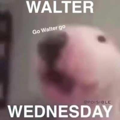 Happy Walter Wednesday to all the Walter enthusiast out there!