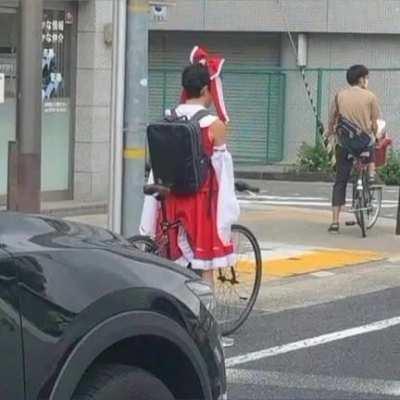 saw reimu on the street what should i do