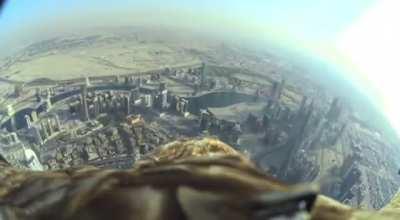 Eagle with camera dives from Burj Khalifa