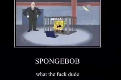 spunch bob why?