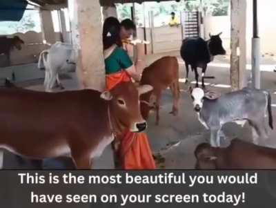 Zyada kuch nahi Krishna and the cows🙏🏼
