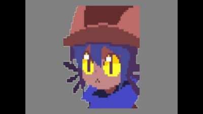 niko is a cat confirmed