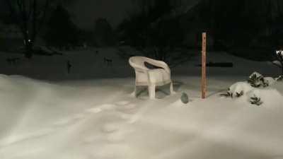 This Timelapse of a snowstorm