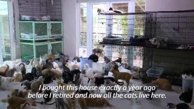 Omani woman rescues over 500 stray cats and dogs