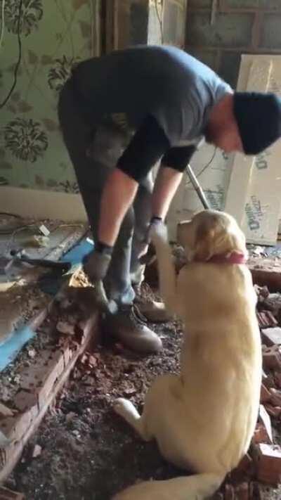 A worker makes friends with the client's dog