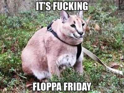 Monke is dead, Big Floppa Fridays are here