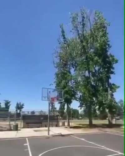 The cop must be ex-NBA, amazing shot