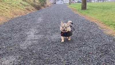 Rainy walks in my snazzy new jacket