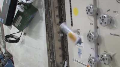 This is what happens when you undo a handle in space!