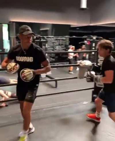 Tom Holland boxing today