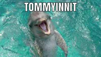 Get it? 🐬