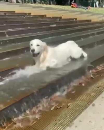 Cooling off at the park