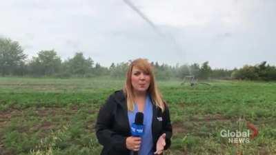 News and sprinklers do not mix