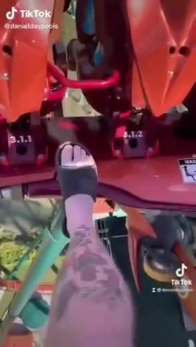 Farting on a roller coaster.