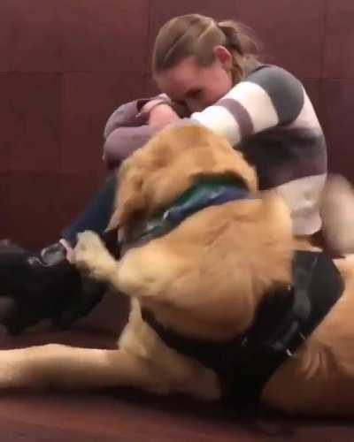 Emotional support dog practicing being there for their owner