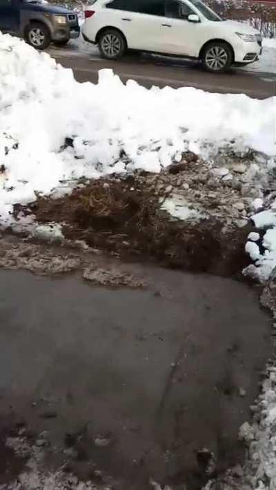 i hired a snow plowing service to get my driveway, and they tore up the grass.