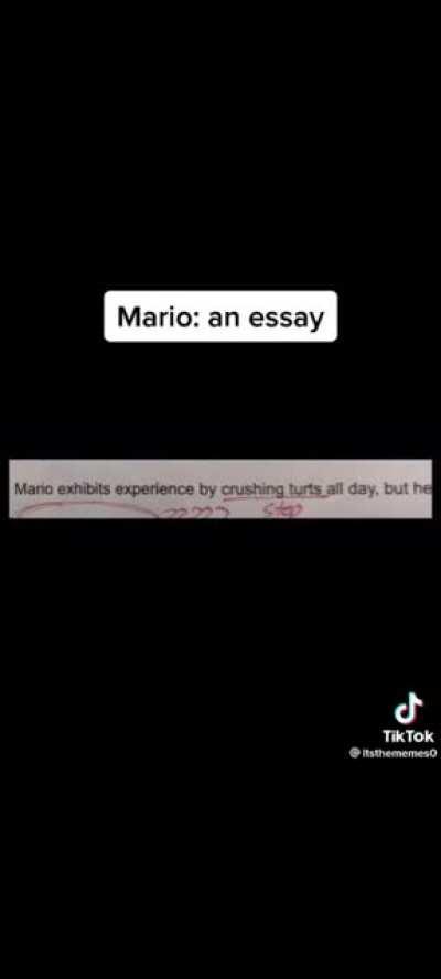 Mario: an essay