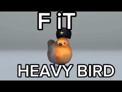 Heavy Bird