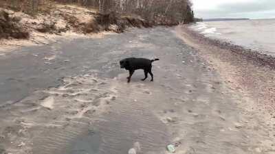 Senior Girl Zoomies