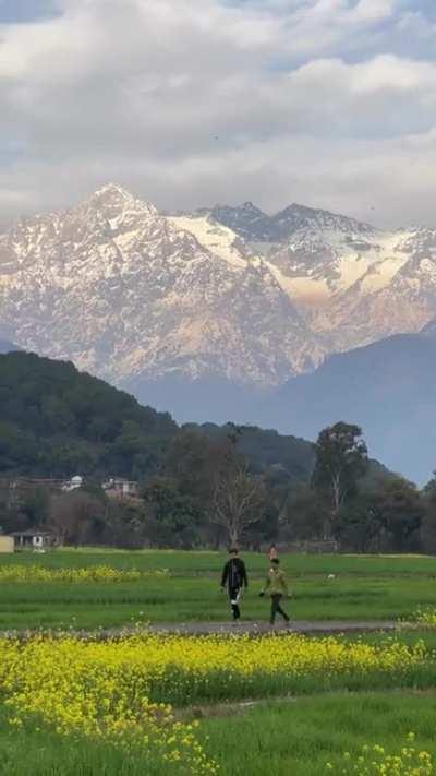 Mighty himalaya seen from Kangra valley, India.