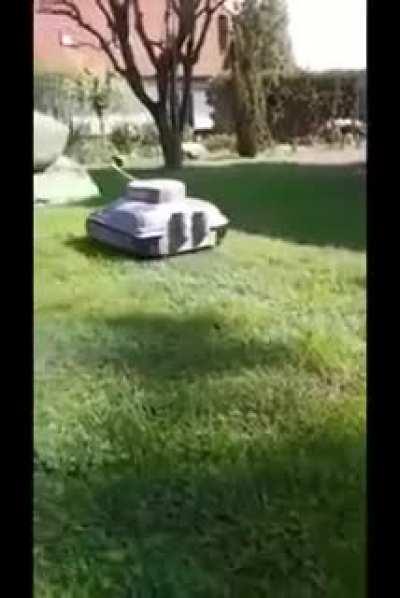 My lawnmower accidentally wander off onto my neighbor's lawn.