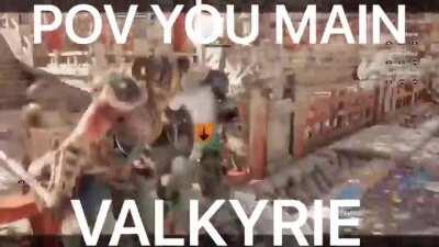 POV you main Valkyrie